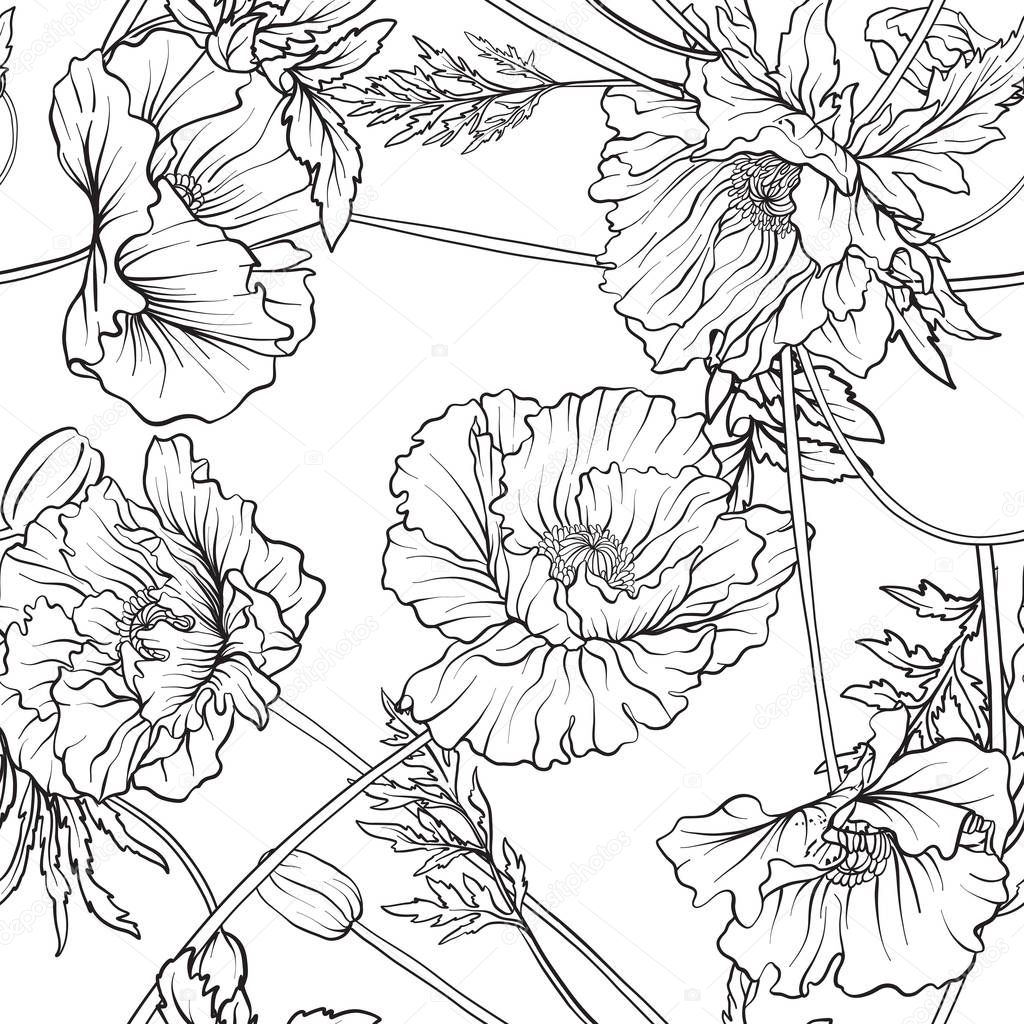 Seamless pattern with poppy flowers in botanical vintage style.