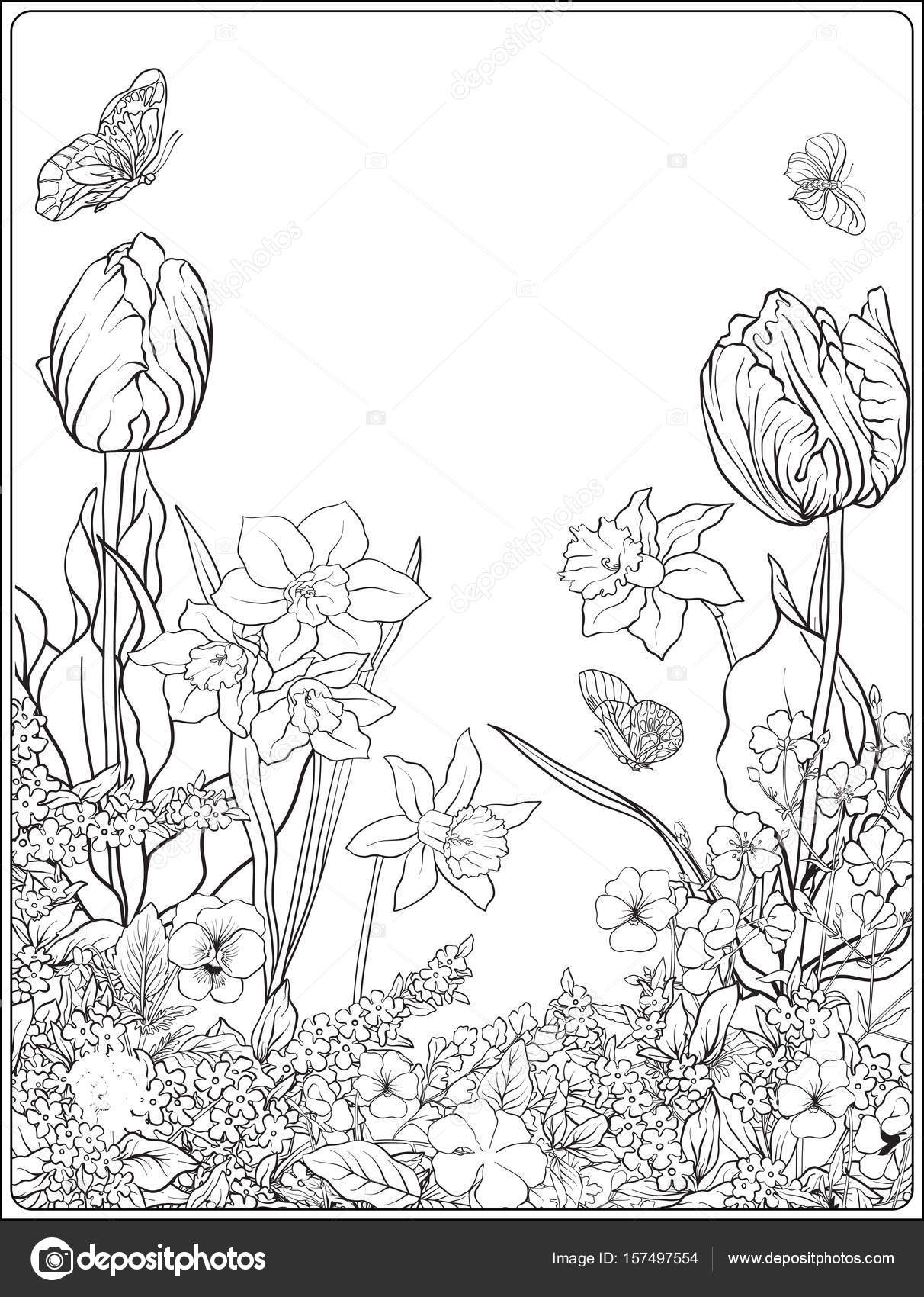 Samenstelling Met Lentebloemen Tulpen Narcissen Viooltjes Voor