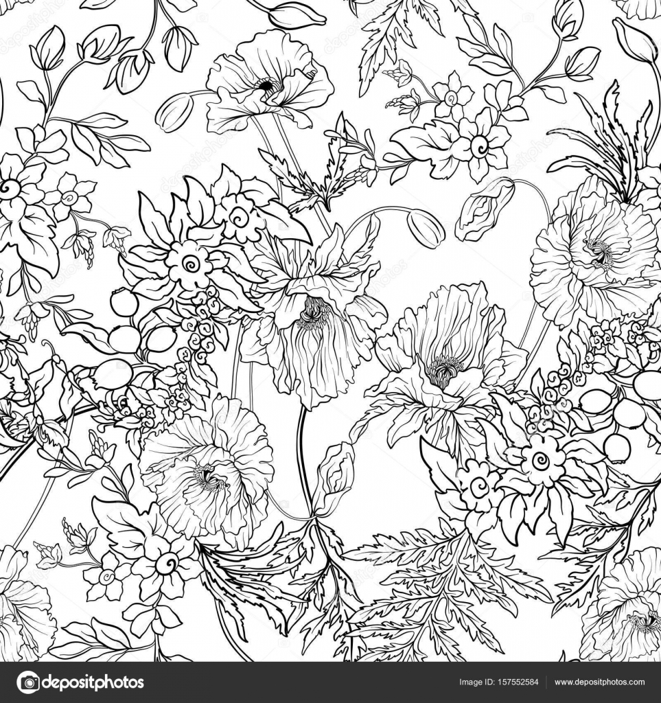 Modello senza cuciture con i fiori del papavero Narciso anemone Violetta in botanica stile vintage Delineare il disegno da colorare per adulti da