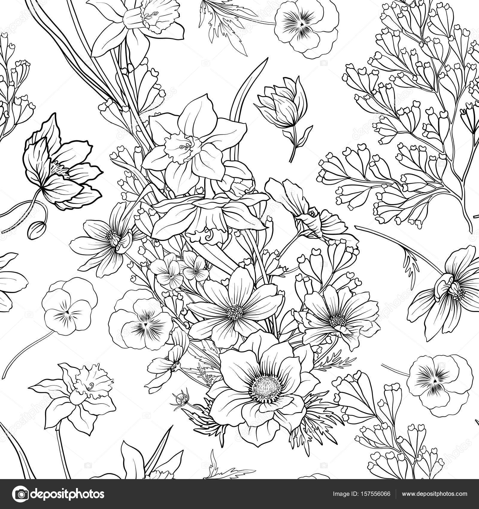 Modello senza cuciture con i fiori del papavero Narciso anemone Violetta in botanica stile vintage Delineare il disegno da colorare per adulti da
