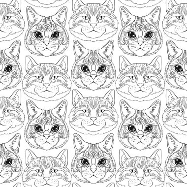 Kediler. Dikişsiz desen, arka plan.