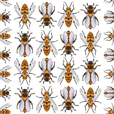 Arılar. Renkli seamless modeli, arka plan.