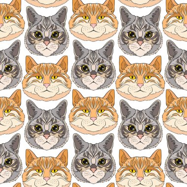 Kediler. Renkli seamless modeli, arka plan.