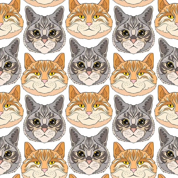 Kediler. Renkli seamless modeli, arka plan.