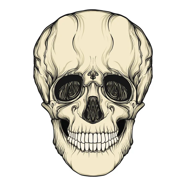 Calavera humana dibujo a mano realista aislado — Archivo Imágenes Vectoriales