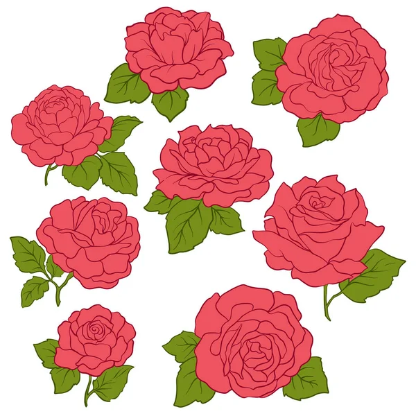 Conjunto de rosas vermelhas isoladas com folhas verdes. Vetor de linha —  Vetores de Stock