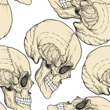 Seamless modeli, insan kafatası ile arka plan. Stok satırı vektör