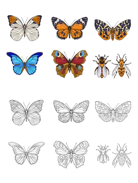 Ensemble de papillons et d'abeilles de couleur et de contour . — Image vectorielle