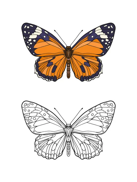 Conjunto de borboleta colorida e contorno . — Vetor de Stock