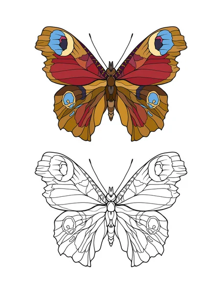 Ensemble de papillon coloré et contour . — Image vectorielle