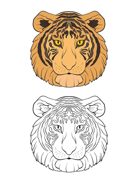 Ensemble de tigre coloré et contour . — Image vectorielle