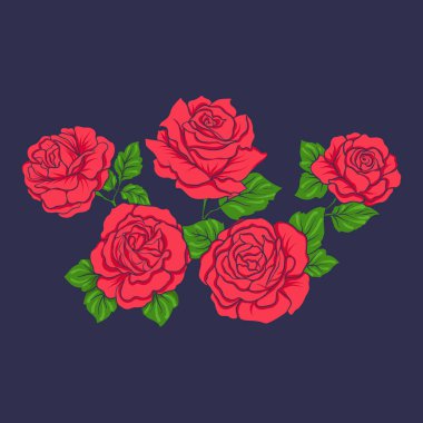 Nakış bllu jiens arka plan üzerinde kırmızı Güllü