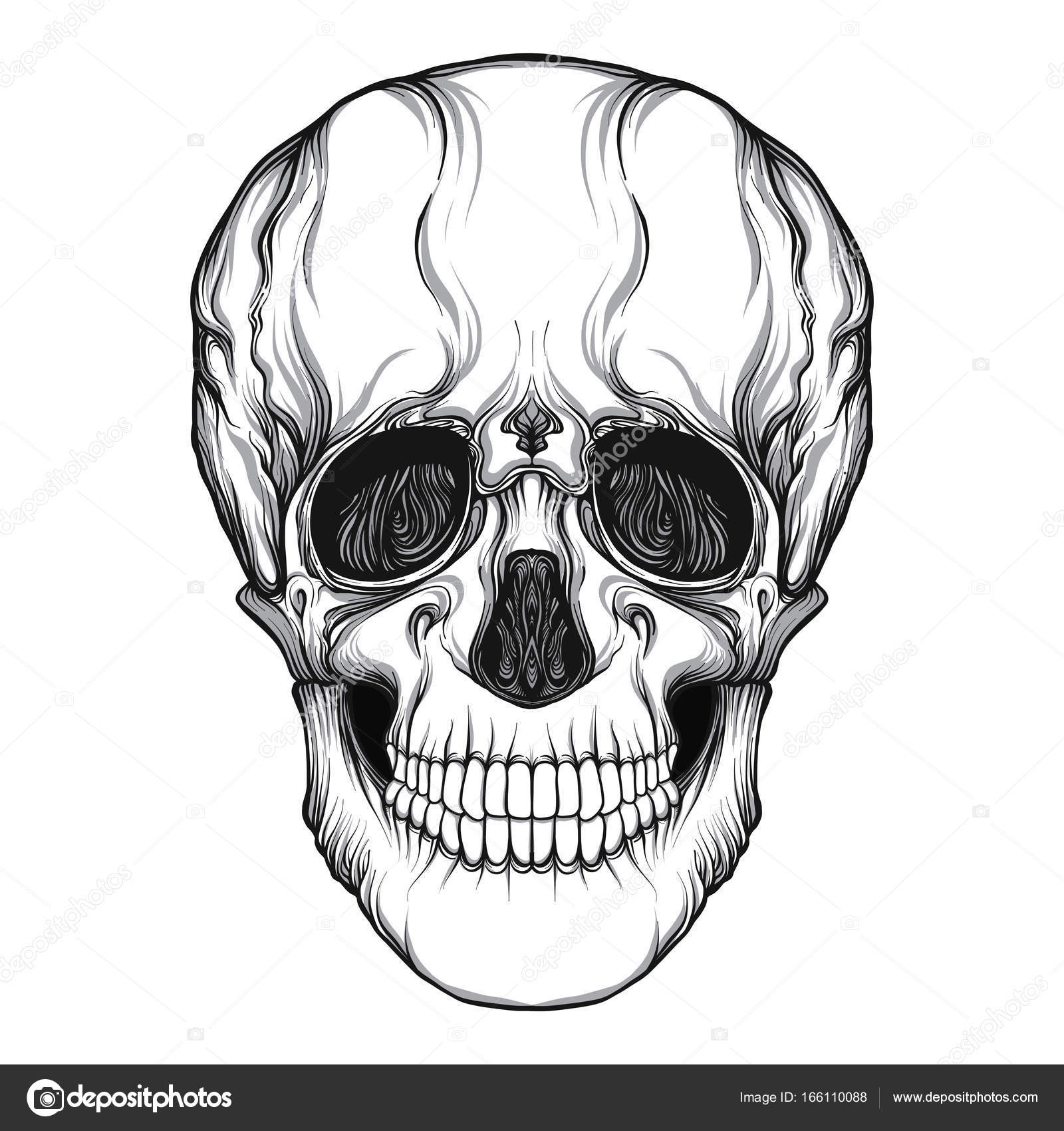 22+ Drawing Realistic Skull Pictures