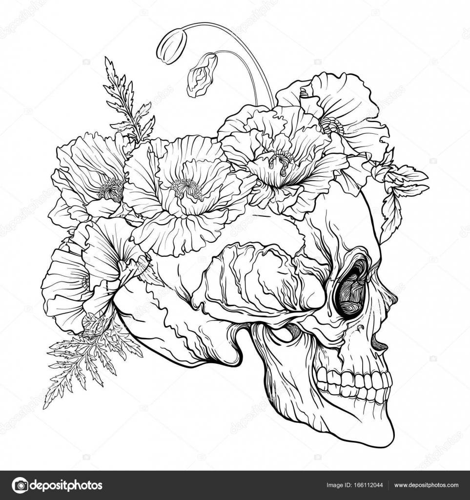 Cranio dello zucchero con motivo decorativo e una corona di Cranio dello zucchero con motivo decorativo e una corona di papaveri rossi Illustrazione di vettore di linea Delineare il disegno da colorare per adulti