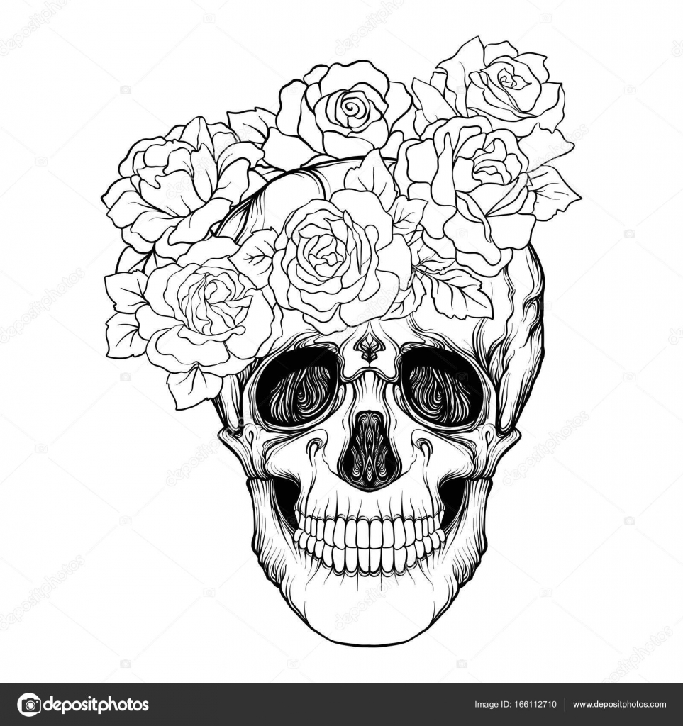 sugar skull and flowers drawing