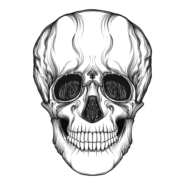 Calavera humana dibujo a mano realista aislado — Vector de stock