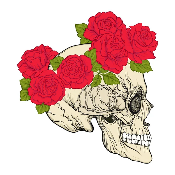 Calavera humana con una corona de amapolas rojas en la cabeza . — Vector de stock