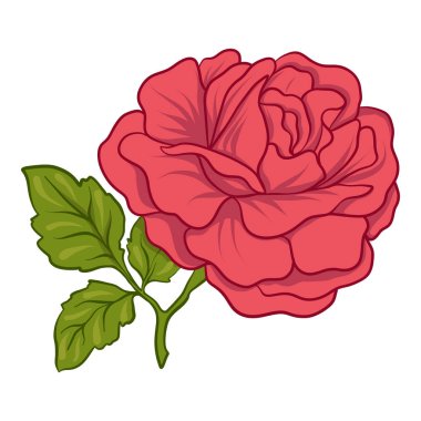 İzole kırmızı yeşil yaprakları ile yükseldi. Stok satırı vektör illustrat