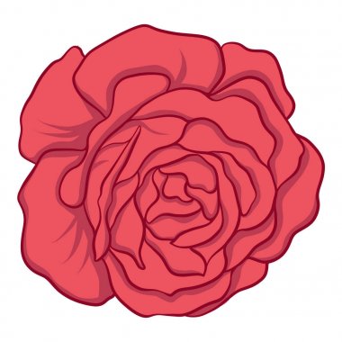 İzole kırmızı gül. Hisse senedi vektör çizim.