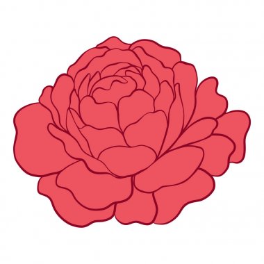 İzole kırmızı gül. Hisse senedi vektör çizim.