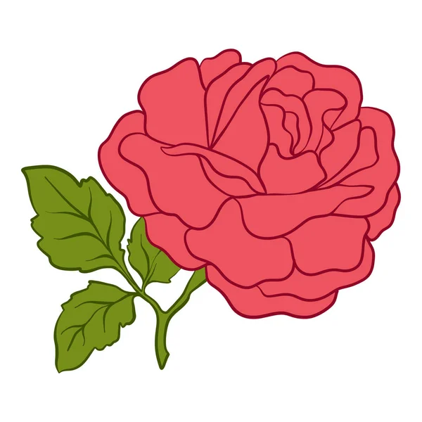Geïsoleerde rode roos met groene bladeren. Voorraad lijn vector illustrat — Stockvector