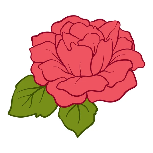 Rosa roja aislada con hojas verdes. Stock línea vector illustrat — Vector de stock
