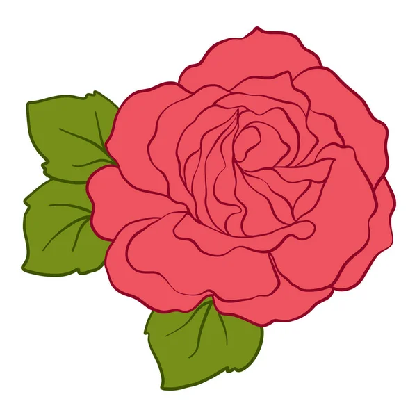 Rosa rossa isolata con foglie verdi. Illustrazione vettoriale linea di scorta — Vettoriale Stock