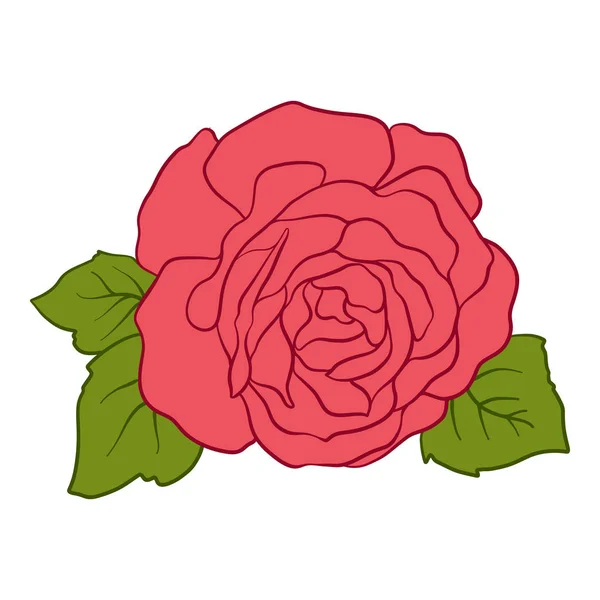 Rosa roja aislada con hojas verdes. Stock línea vector illustrat — Vector de stock