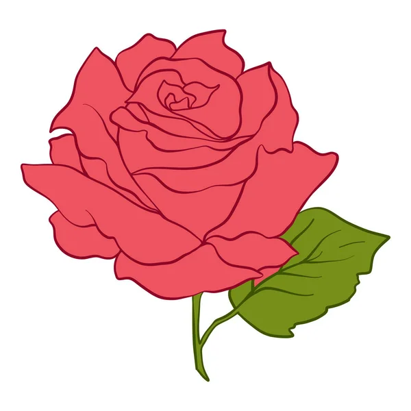 Rosa roja aislada con hojas verdes. Stock línea vector illustrat — Vector de stock