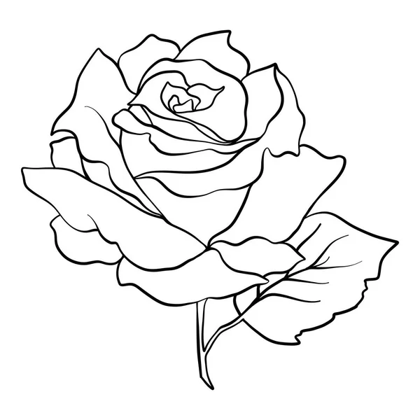 Geïsoleerde rose. Een overzicht van tekening. Voorraad vectorillustratie. — Stockvector