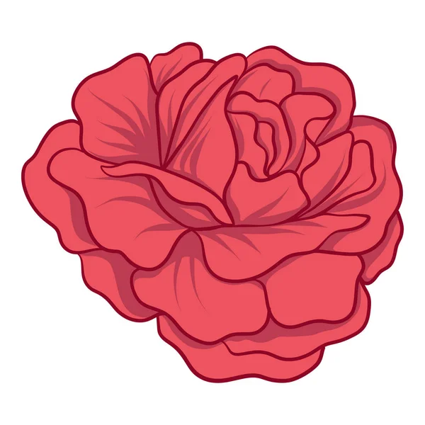 Rosa rossa isolata. Illustrazione vettoriale stock . — Vettoriale Stock