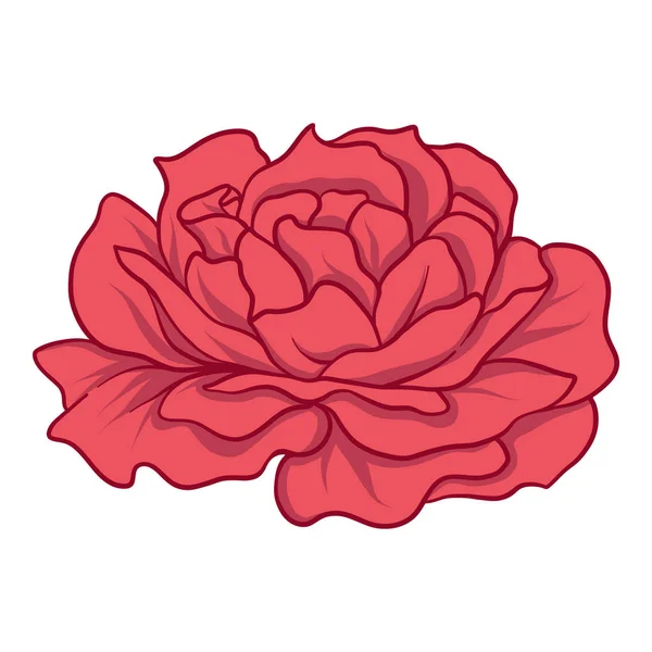 Rose rouge isolée. Illustration vectorielle de stock . — Image vectorielle