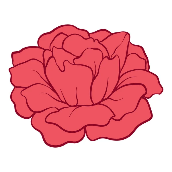 Rosa vermelha isolada. Ilustração do vetor . — Vetor de Stock