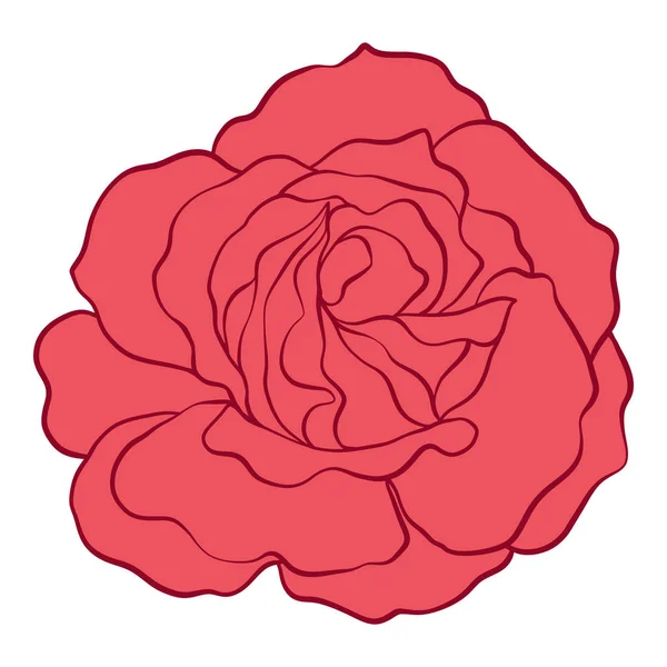 Rose rouge isolée. Illustration vectorielle de stock . — Image vectorielle