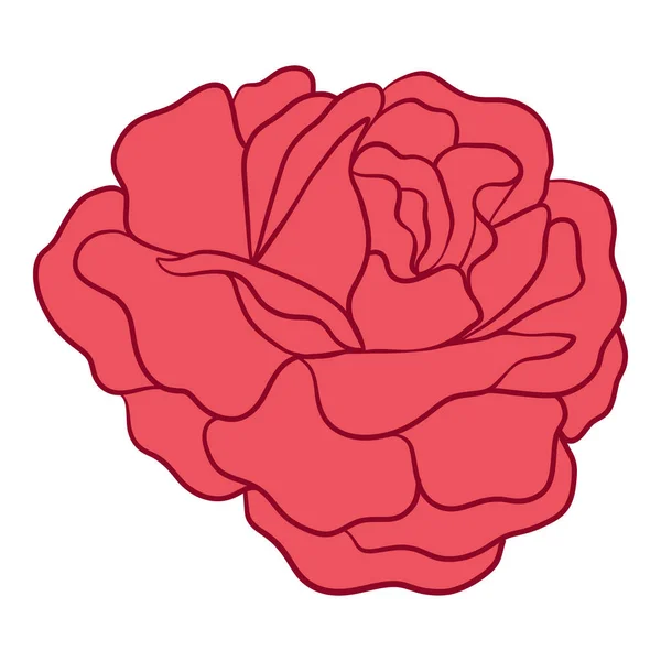 Rosa rossa isolata. Illustrazione vettoriale stock . — Vettoriale Stock
