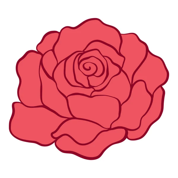 Rosa rossa isolata. Illustrazione vettoriale stock . — Vettoriale Stock