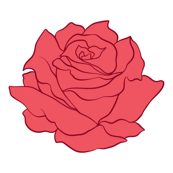 Elszigetelt vörös rózsa. Vektor Stock illusztráció. — Stock Vector