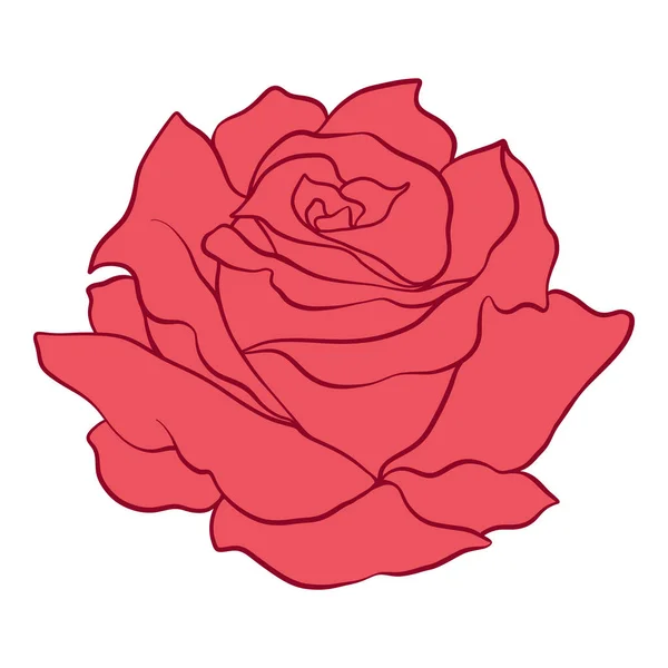 Rosa rossa isolata. Illustrazione vettoriale stock . — Vettoriale Stock