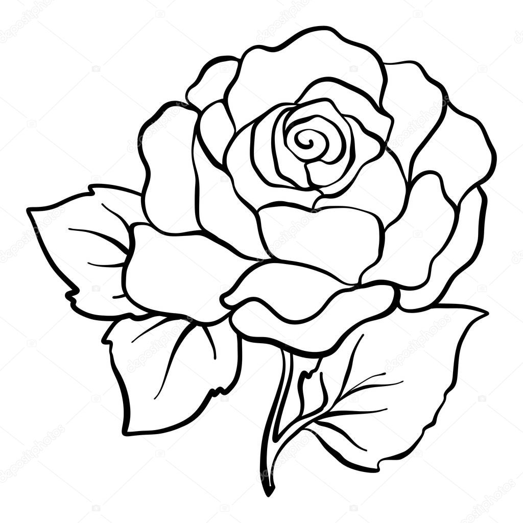 One Line Rose Design Hand Drawn Minimalism Style Stock Illustration -  Download Image Now - Rose - Flower, Line Art, Drawing - Activity - iStock