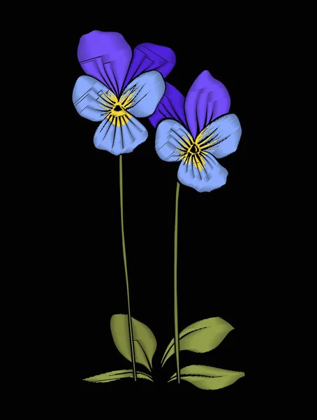 Pansy, flores violetas para bordar en ilustración botánica s — Vector de stock