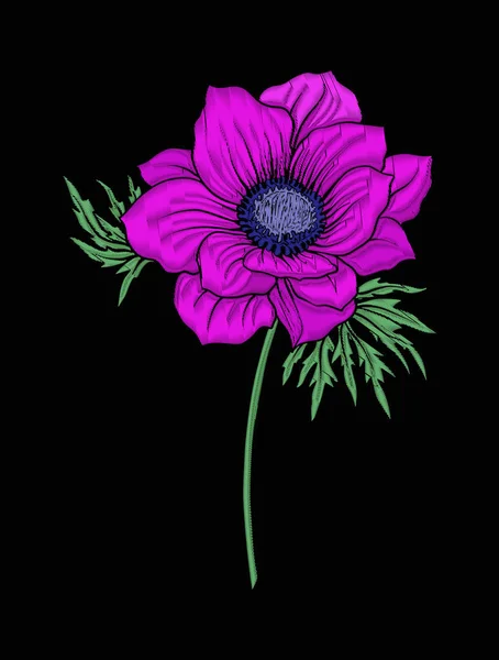Anemone bloem voor borduurwerk in botanische illustratie stijl op — Stockvector