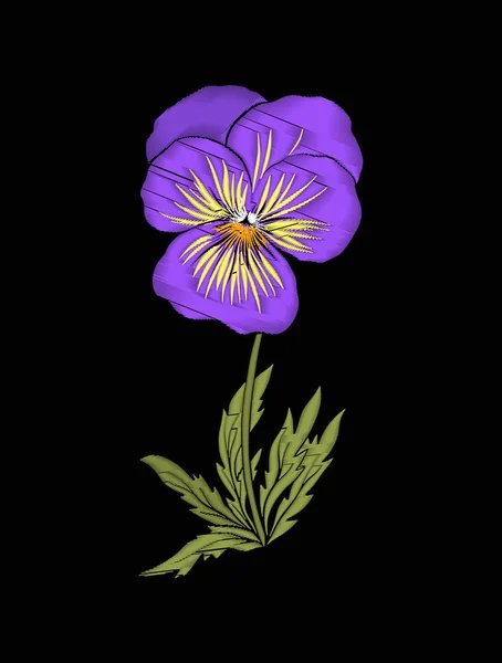 Pansy, flores de violetas para bordados em ilustração botânica s — Vetor de Stock