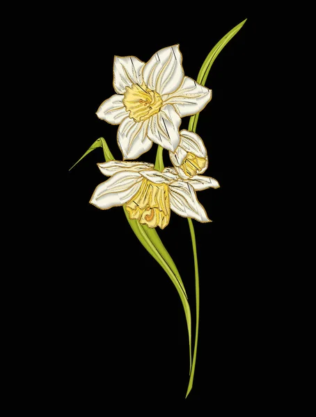 Narzissenblüte für Stickereien im botanischen Illustrationsstil o — Stockvektor