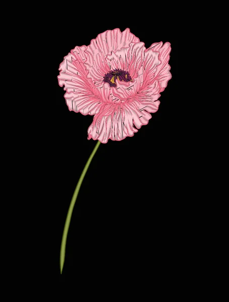 在植物学插画风格上刺绣朵罂粟花 — 图库矢量图片