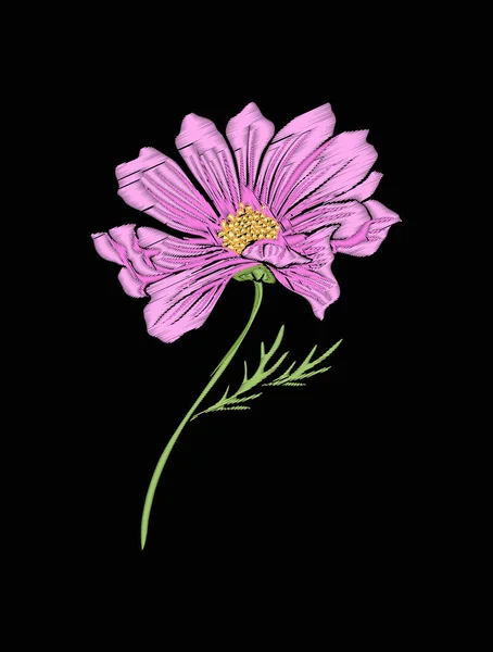 Cosmos flor para bordado em estilo de ilustração botânica em —  Vetores de Stock