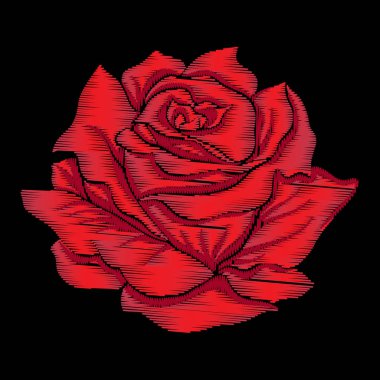 Nakış kırmızı siyah arka plan üzerine yükseldi. Stok satırı vektör illus