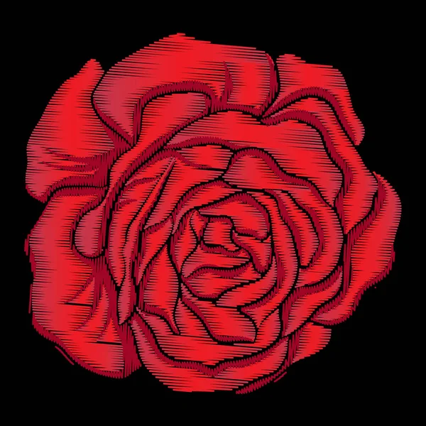 Nakış kırmızı siyah arka plan üzerine yükseldi. Stok satırı vektör illus