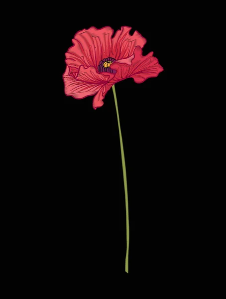 Flor de amapola para bordar en estilo de ilustración botánica en un — Vector de stock