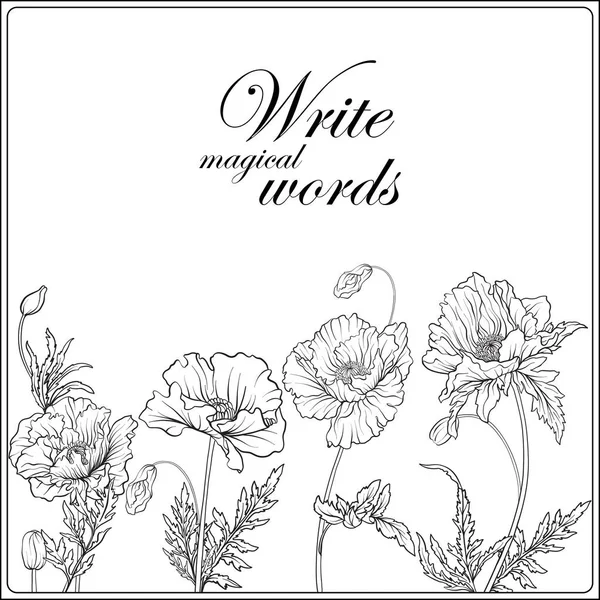 Haşhaş anahat el boyama sayfası yetişkin c için çizim kartı