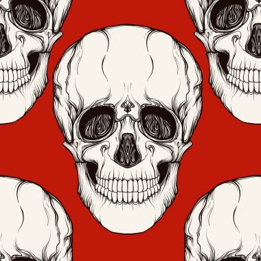 Seamless modeli, insan kafatası ile arka plan. Stok satırı vektör